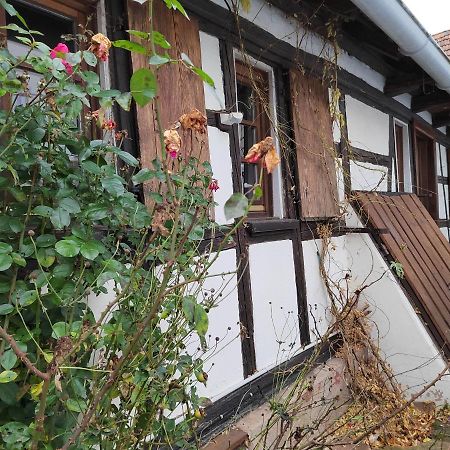 Petite Maison Alsacienne 엔츠하임 외부 사진